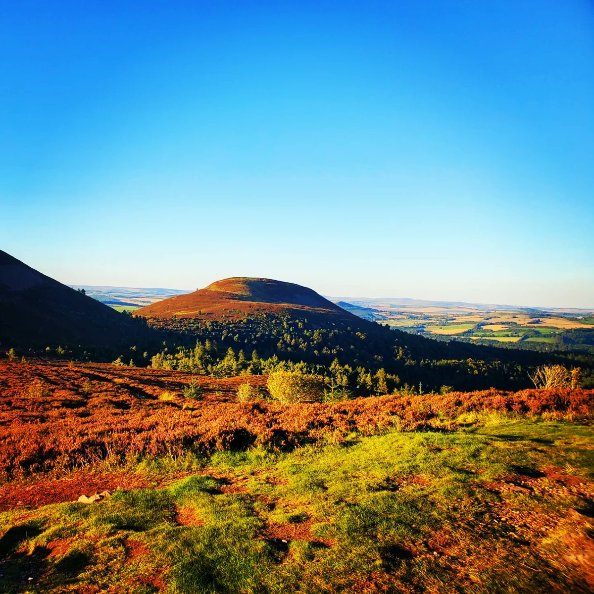 blonde_on_bikes's tweet photo. After work wind down walk around the lovely Bowden Loch and Eildon Hills π
#melrosepaths #scottishborders #eildonhills #eildonpaths #happyplace #wellnesswalk https://t.co/ijNEhgTVYC