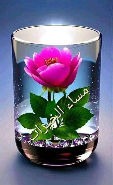 @Ahlam04900191 @rmsysltny2 @EngAliIQ @N21_A3 @_0M01_ @__hms0 @HishamRagap @M62687551 @TMA_21 @ElghazalyAbdl2 @Eimirahahleh @RSH0555 @vkjha783 @adilkasab @ggh_hashem @ab24324 @55tt2c @Albasha40835 @thairlsoF @alithapity0 @um_nurse #قروبات_البابلى_للاضافات 
#دعم_ali