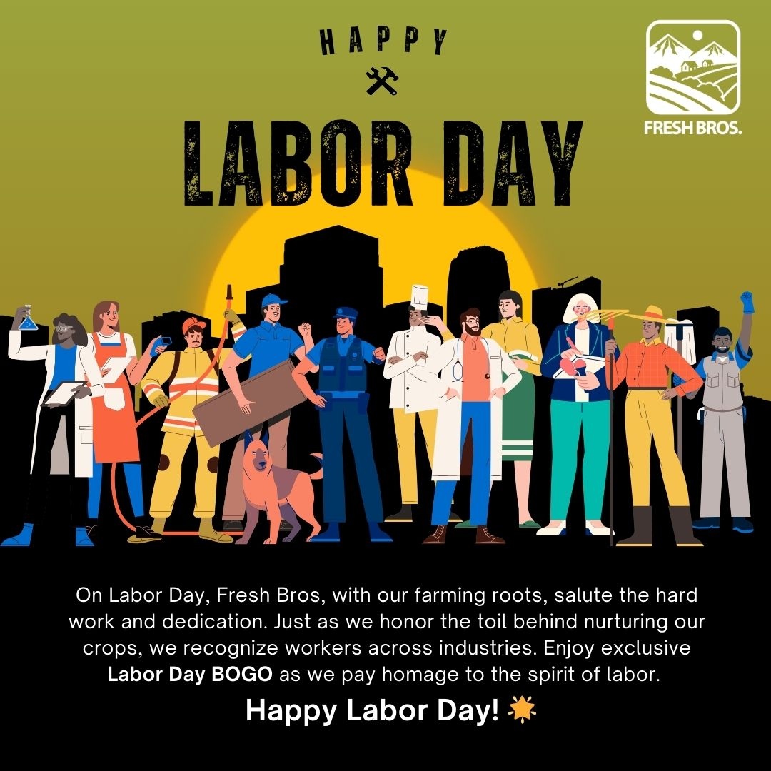 Fresh Bros™ tweet media