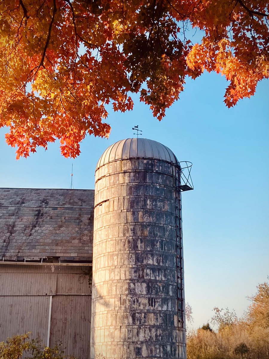 CopperTopFarmOH's tweet photo. Northeast Ohio Photographers: Looking for a location for fall sessions with private trails and small-farm charm? Our DMs are open. 📸🍁🍂#photography #portraits #ohio #minisessions #fallphotos https://t.co/oCIGHNaHqN