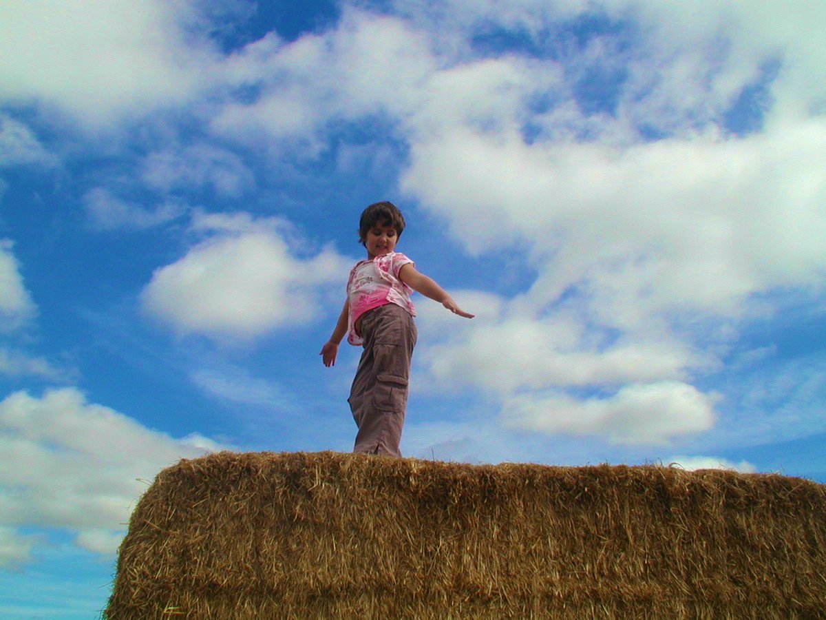 georgia kumari bradburn 🇵🇸 (@georgiakmri) on Twitter photo 