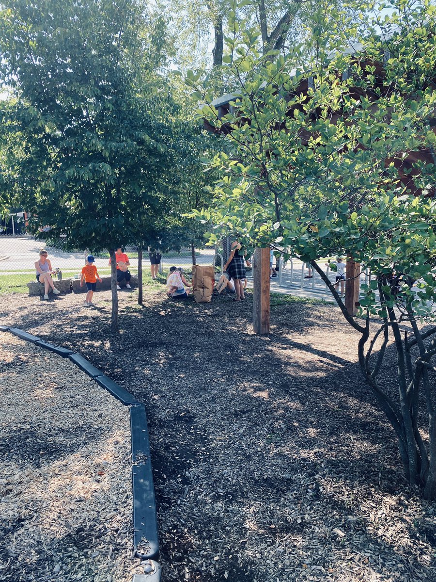 VictorySchoolCouncil (@vpsfamily) on Twitter photo Thanks to everyone who came out today for the yard cleanup, it looks fantastic! Enjoy the rest of the long weekend and see you tomorrow! <a href="/Victory_ps/">Victory PS</a> <a href="/RalfMesenbrink/">Ralf Mesenbrink (he/him)</a> Thanks to everyone who came out today for the yard cleanup, it looks fantastic! Enjoy the rest of the long weekend and see you tomorrow! <a href="/Victory_ps/">Victory PS</a> <a href="/RalfMesenbrink/">Ralf Mesenbrink (he/him)</a>