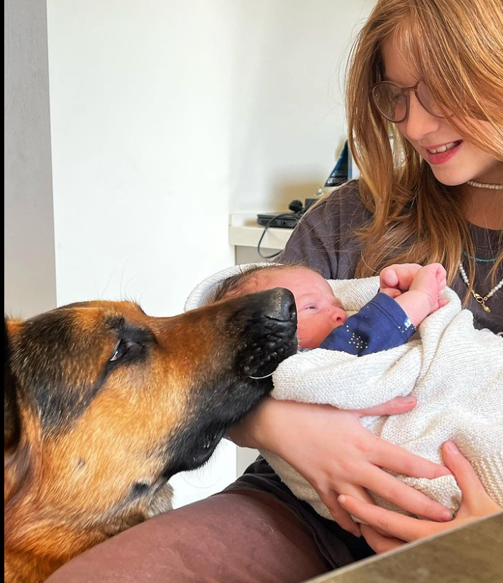 all_about_gsd's tweet photo. ❣️🫶🏼 #samuel #aunt #rex #soulmate #babyguard #samuelsguard #samuelsdog #samuelsdogs #gsd #germanshepherd #germanshepherds #guard https://t.co/zTsITzt9ny