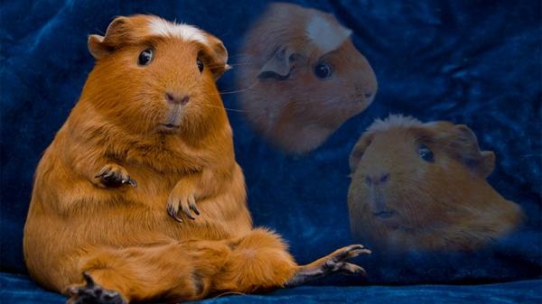 When someone yells at you for no reason: