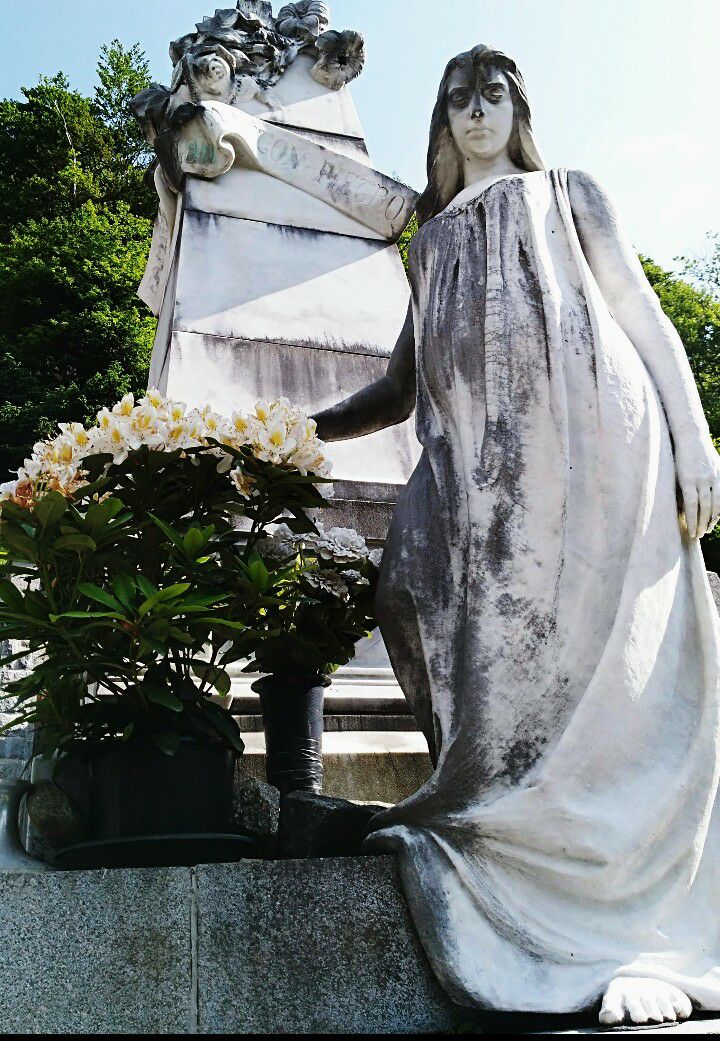 "Le lacrime più amare versate sulle tombe, sono per le parole inespresse e per le azioni mai compiute."

Harriet Beecher Stowe.
