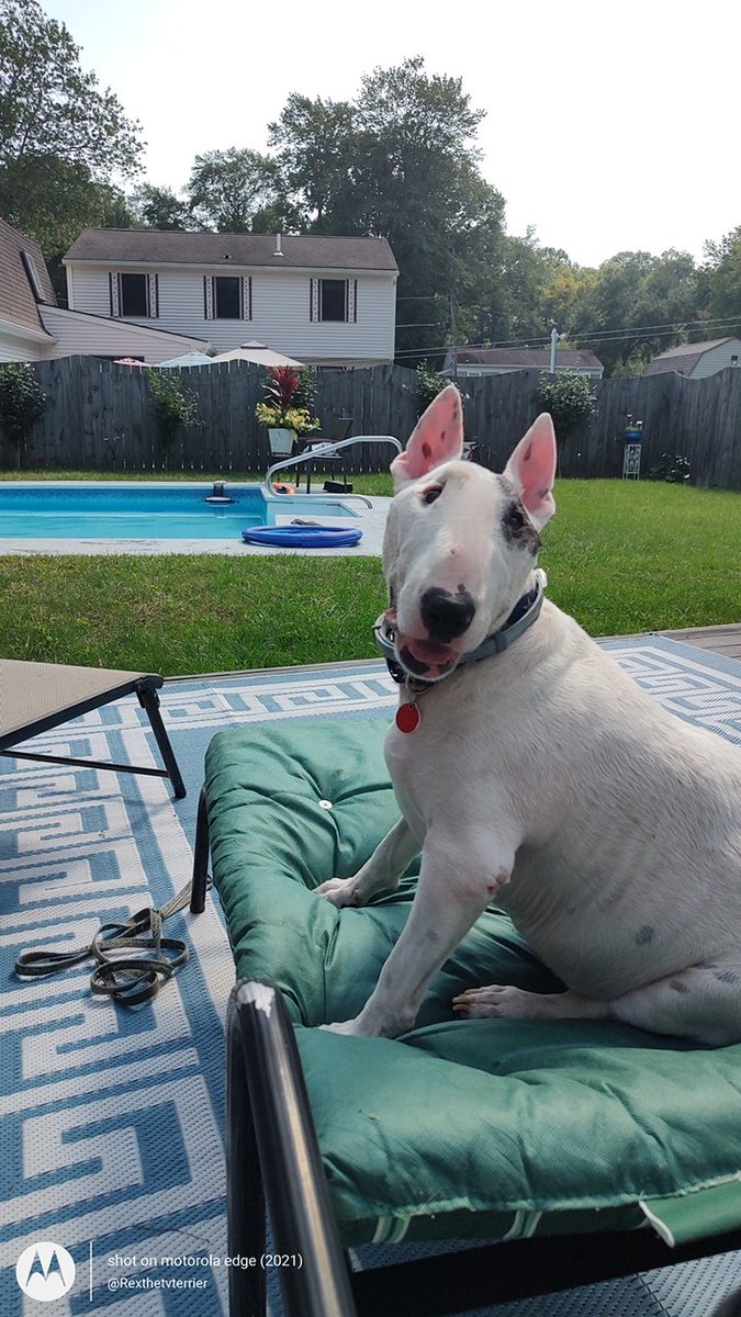 I'll take an ice cream, please
#LaborDay #LaborDayWeekend2023 #LaborDayWeekend