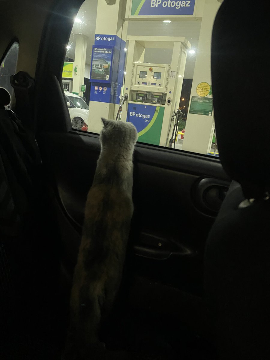 gnl_ycel's tweet photo. Bp reklamı sunar 😍 https://t.co/FfLG8usdud