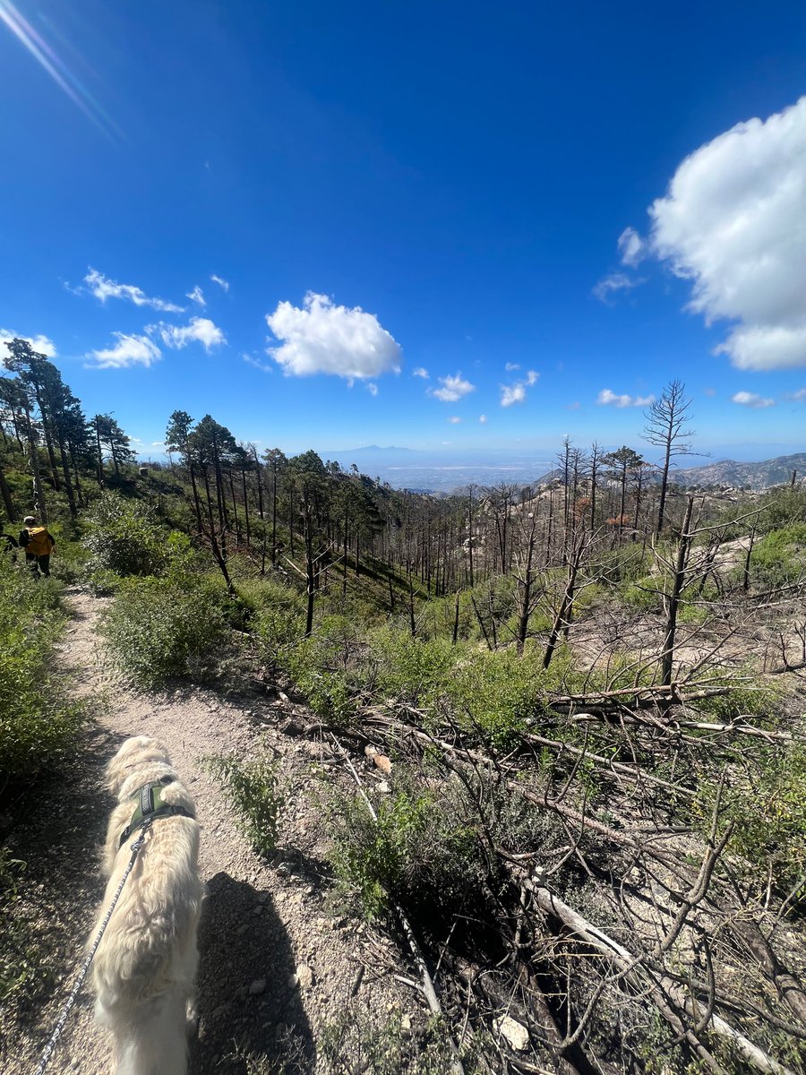 First hike since surgery no. 5 was a great way to celebrate an article publication agreement