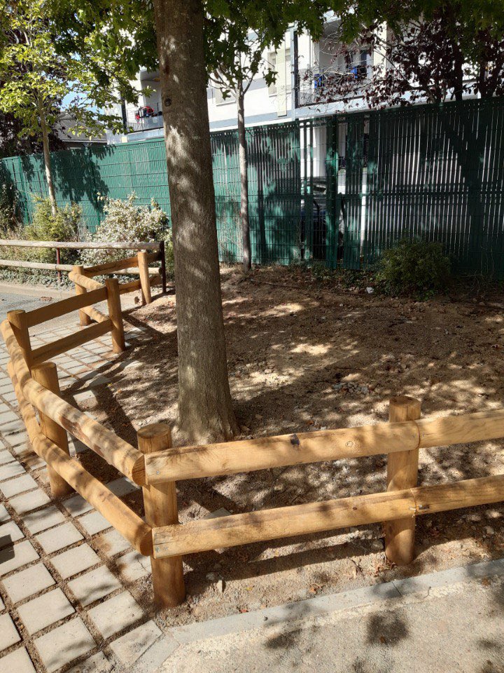 JM_Verchere's tweet photo. Désimperméabilisation des pieds d’arbres, @Angers exemplaire en la matière #natureenville @HeleneCruyp #AngersSupernature @hugoclement #SurLeFront @France5tv 👇 https://t.co/vx7ZqtkXmJ