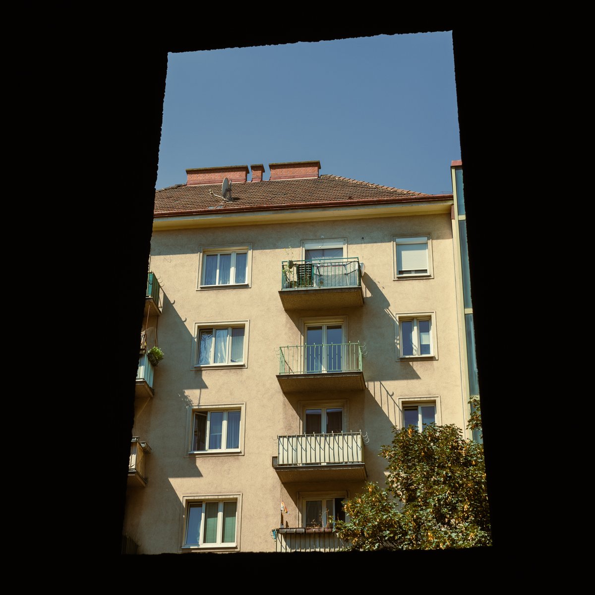 sundownz tweet media