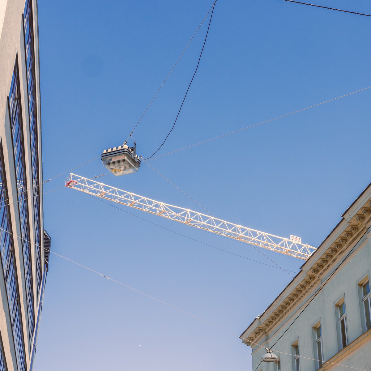 sundownz tweet media