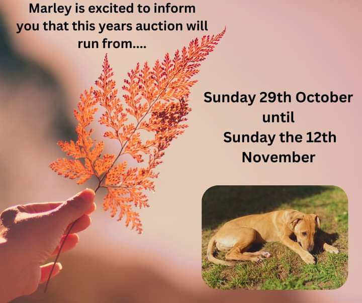 EGLR1's tweet image. m.facebook.com/story.php?stor…
Hi all 
If you can donate to our #auction 
Details above  or contact 
Melissanewman123@gmail.com 
Thank you all 
#mhhsbd 
#vouchers 
#pictures 
#giftideas 
#craft