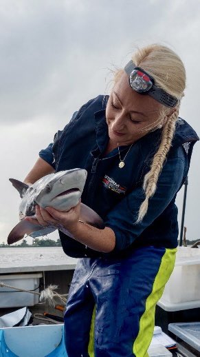 🚨 New Paper 🚨
Check out our latest paper that examines the factors affecting the presence of bull sharks in nearshore NSW waters to determine periods of potentially increased overlap with beachgoers.

doi.org/10.3390/biolog…