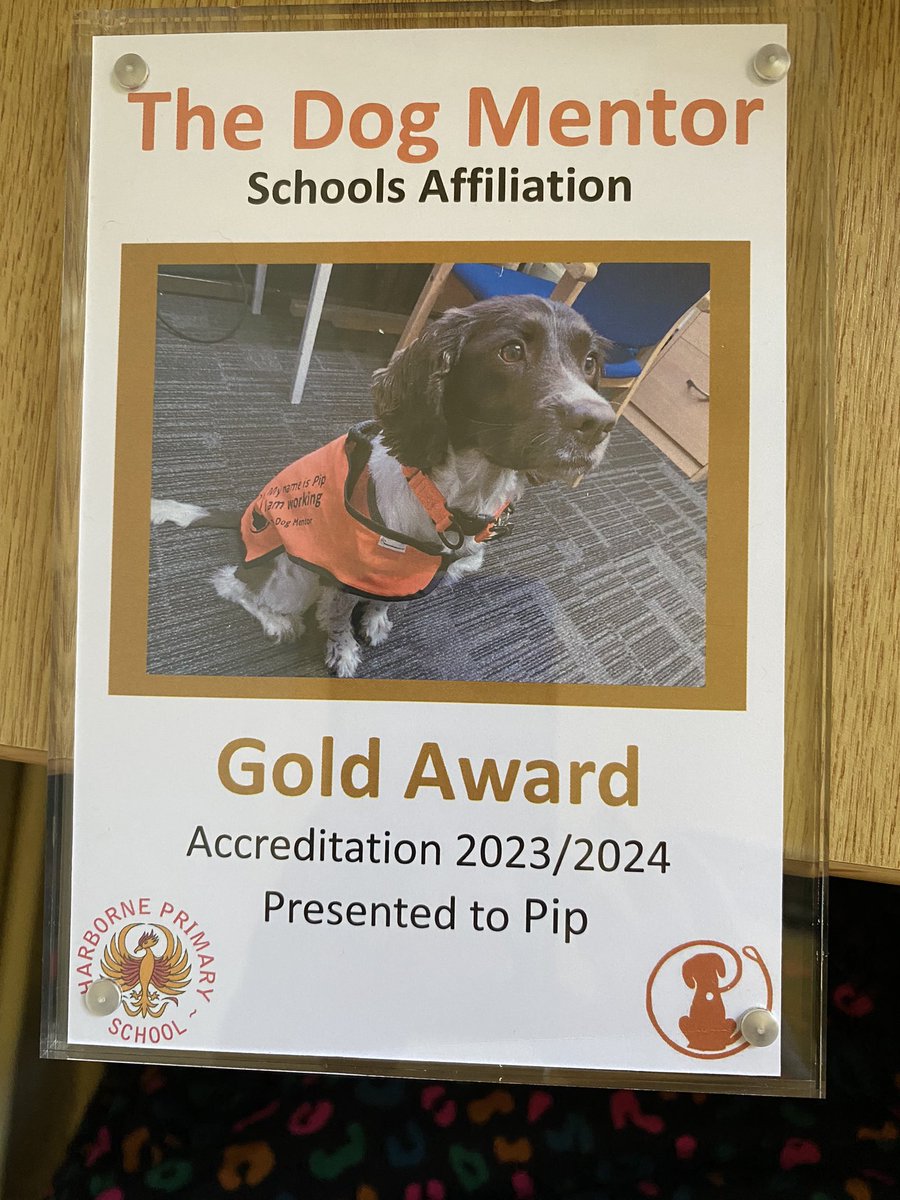 Liddylupo's tweet photo. Nice surprise delivery for the first day back at school 🐾 🧡 https://t.co/nFppd8C3ZW