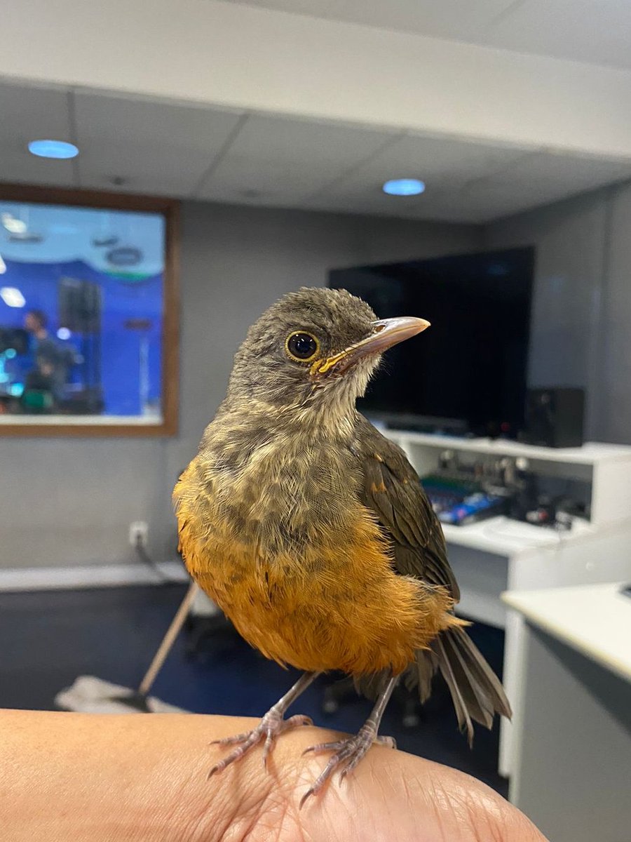 fapcom's tweet photo. Hoje a FAPCOM recebeu uma ilustre visita nos Estúdios.
#fapcom #comunicação https://t.co/GJVs908bdD
