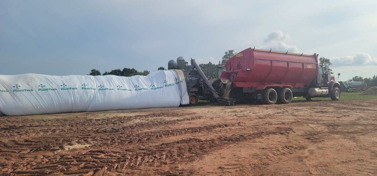 Grinding and bagging barley today. Will make for fast and efficient feeding over the next few months. Too bad we couldn't get at it when it was high moisture but now atleast feed out rate won't be crucial