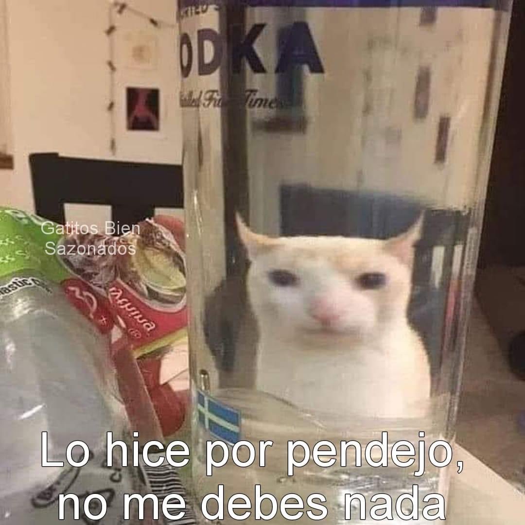 Mi meme mas personal