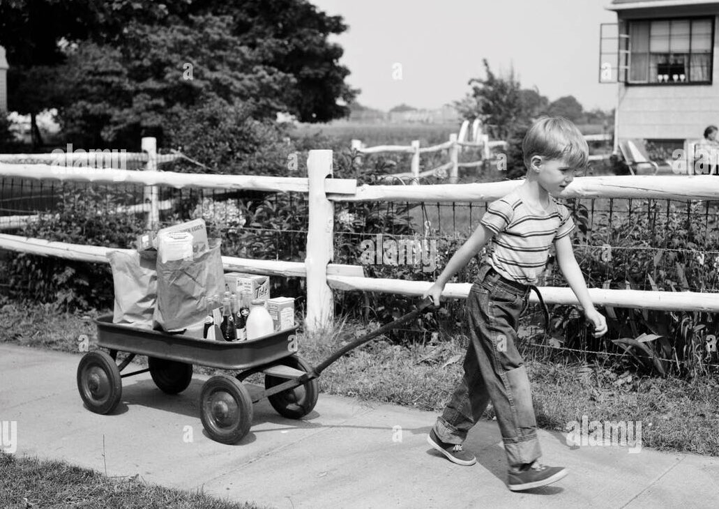 Diane H. 📚👜🛋 tweet media