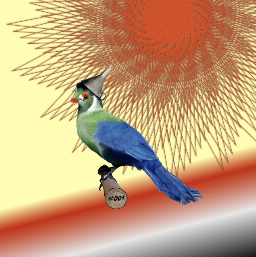 kctinman42's tweet image. #FirstFre5h of #Fre5hCustomz #05. Created using my “Tin Turaco”, originally created by @ADAbirdsNFT,  with @TheRefreshCNFT. Nice job by @_ThisCr8zyLife_ and @RefreshedPixel for this lovely creation!