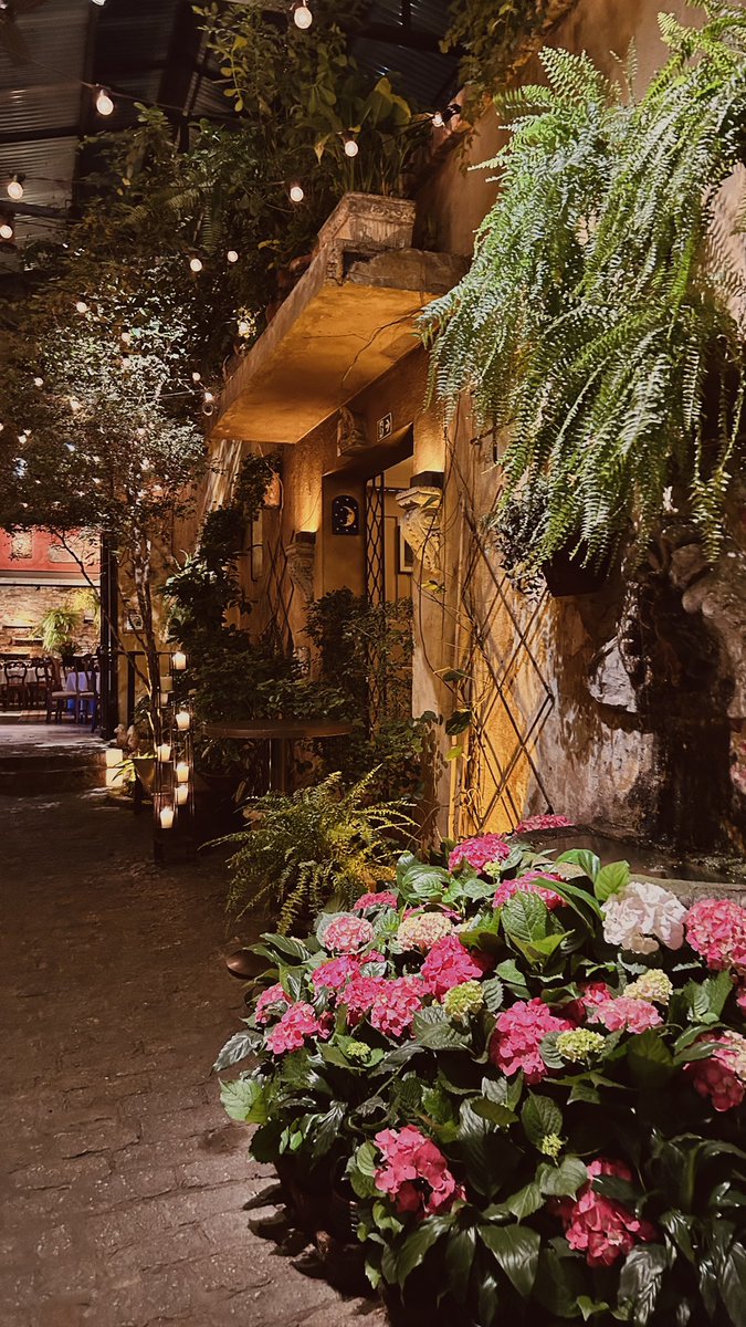 Nanamnese tweet media