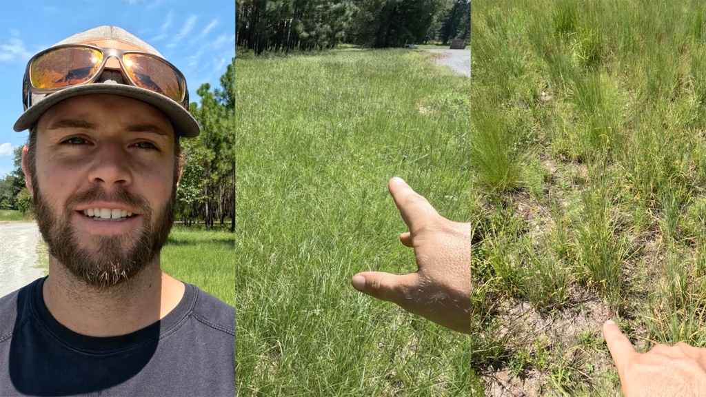 OrianneSociety's tweet photo. Happy #NationalWildlifeDay!
On the latest #LightingaMatch, Caleb Goldsmith tells us about how getting rid of bahia grass and restoring native warm-season grasses like wiregrass, bluestem and lopsided indian grass will benefit #wildlife. Learn more:
https://t.co/pi73OE09rK https://t.co/nQWqUb3Opf