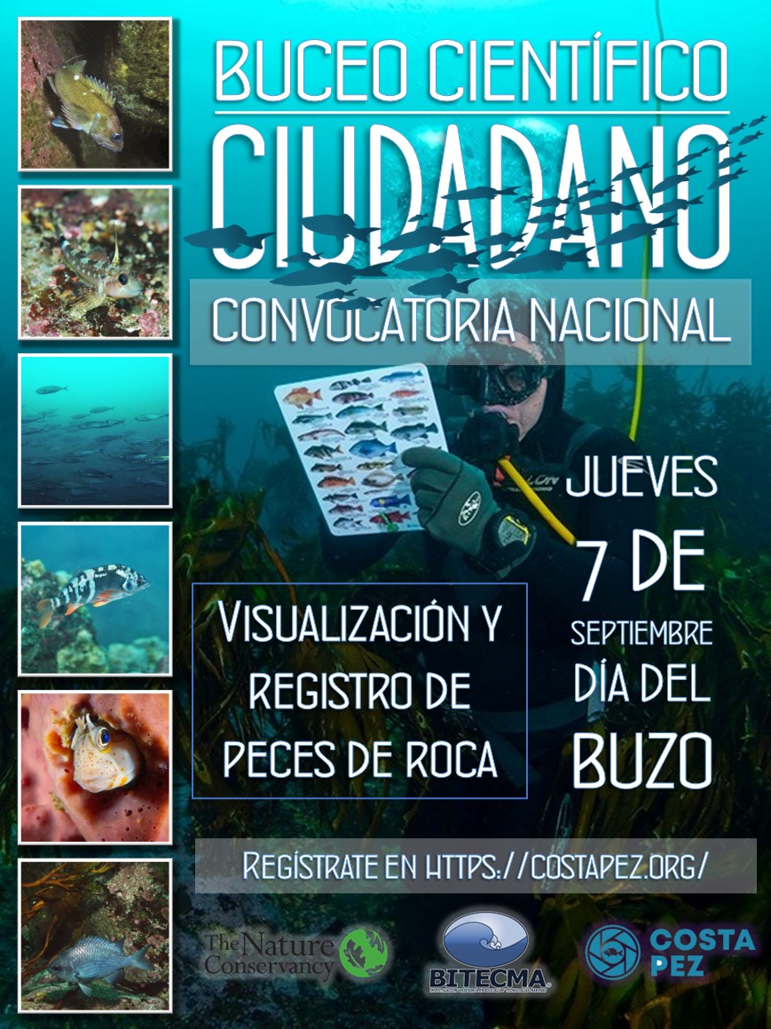 ¿Y tu, dónde vas a bucear este jueves?
Nosotros estaremos en la Poza de Montemar, autorizados por la Universidad de Valparaíso.

#Buceo #BuceoCiudadano
#scubadiving  #Scuba #MarineResearch