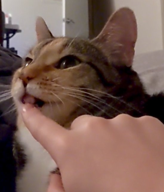 she might be the silliest to ever do it https://t.co/g5PLTNwTVY