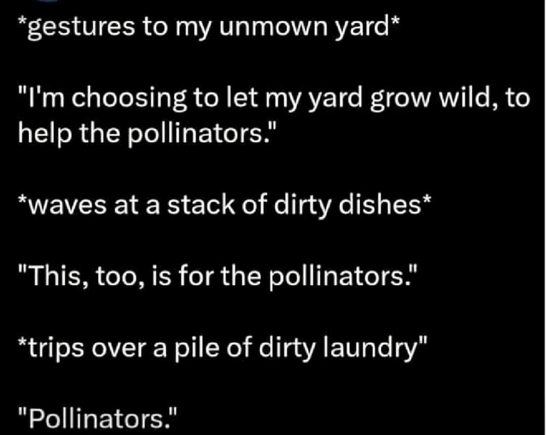 storyheadjillmc's tweet photo. All for the pollinators. 😉🤣
#SaveTheBees #ForRealTho https://t.co/5qNi6MJ99r