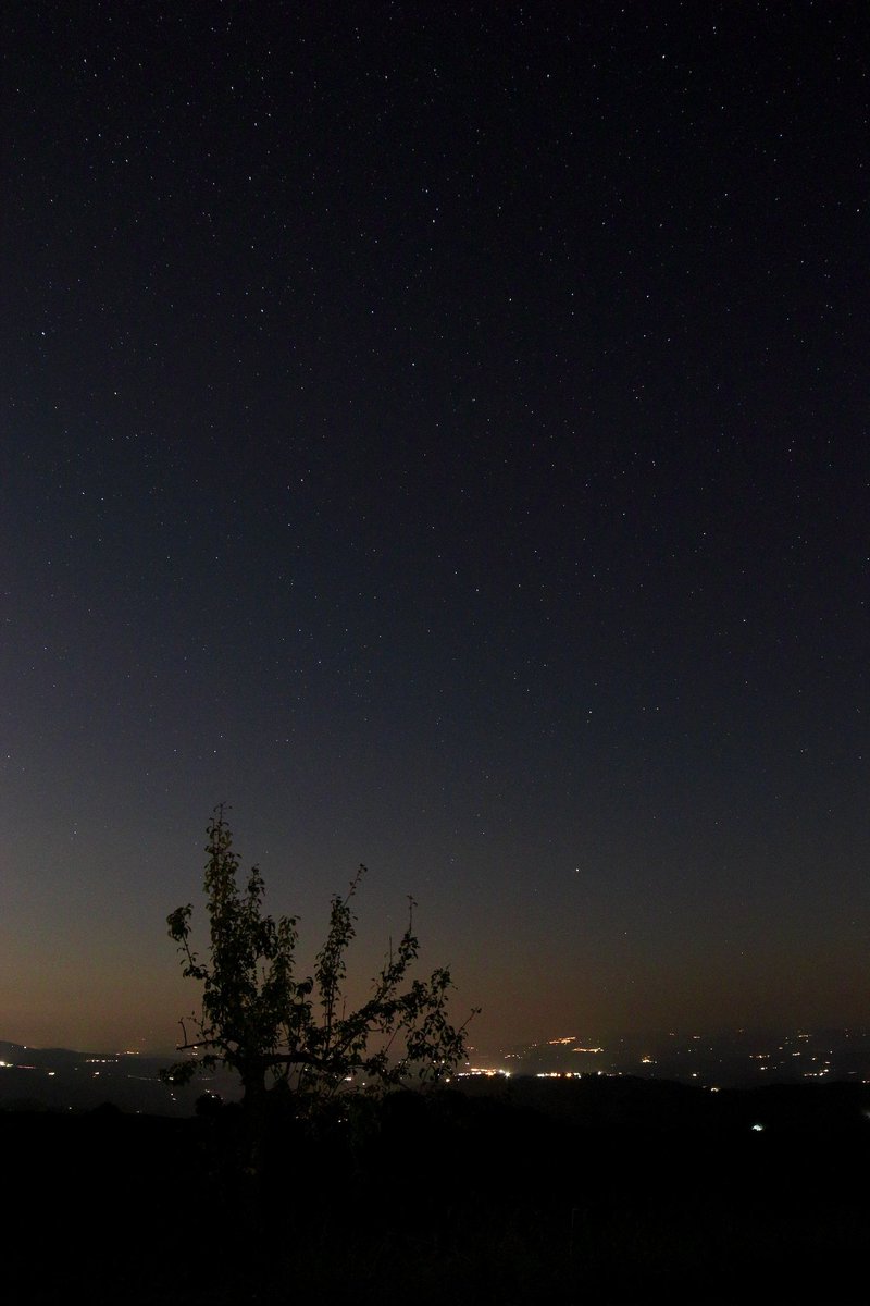 scrutacieli's tweet photo. Neve di stelle per coprire le ansie del mondo. https://t.co/iVqQ0Zvi8G