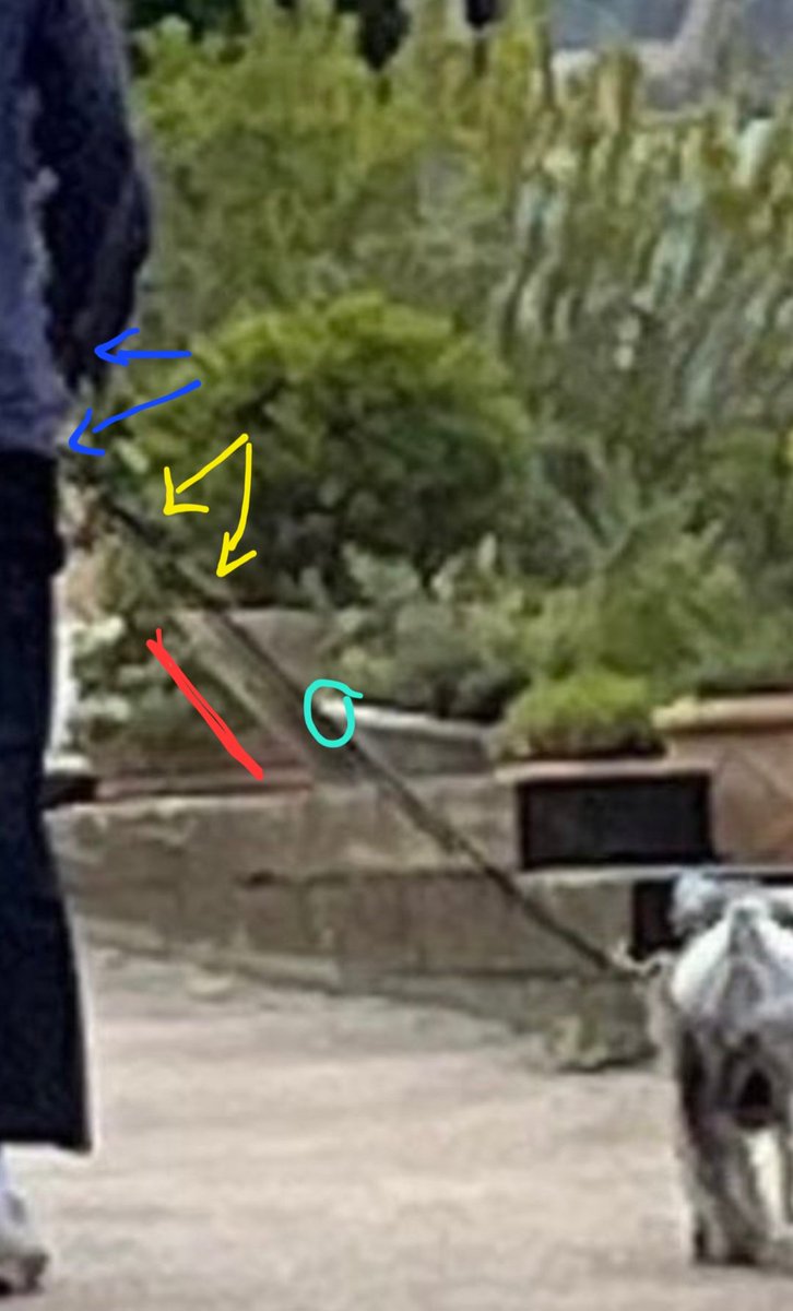 tpwk_27_018's tweet photo. Guys, the dog's photoshopped in. The lead doesn't head for H's hand, there's repetition, a line that runs perfectly parallel to the lead and the edge of a step/pot (??) that goes in front of the lead. Lame. https://t.co/YngLmQwlY3