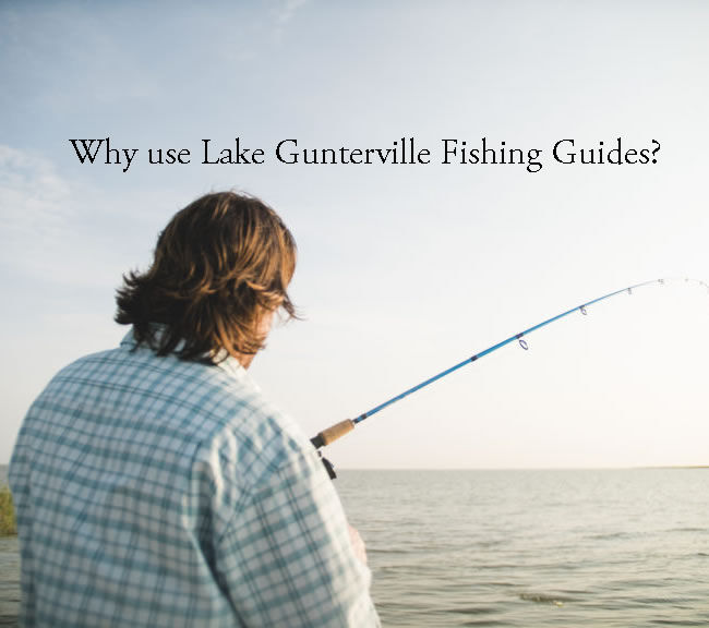 Why Hire Lake Guntersville Fishing Guides? Dream Catches will Come to Life, all while Taking Your Fishing Passion to New Heights!

👉 bit.ly/47B0J1z 

#fishing #bassfishing #fishingguide #bassfishinggguide

<a href="/BassProShops/">Bass Pro Shops</a> <a href="/BassFishnTips/">Bass Fishing Tips</a> <a href="/MajorLeagueFish/">Major League Fishing</a> <a href="/Take_Me_Fishing/">Take Me Fishing</a>