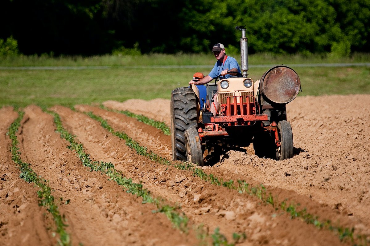 We hope that you spent the day celebrating the hard work American workers put in each and every day!
.
.
.
#SoAR #SoARFoundaton #agresearch #agriculture #agricultureresearch #supportag #supportagresearch #farming #labor #laborday #LaborDay2023 #farmers #agriculture #farm