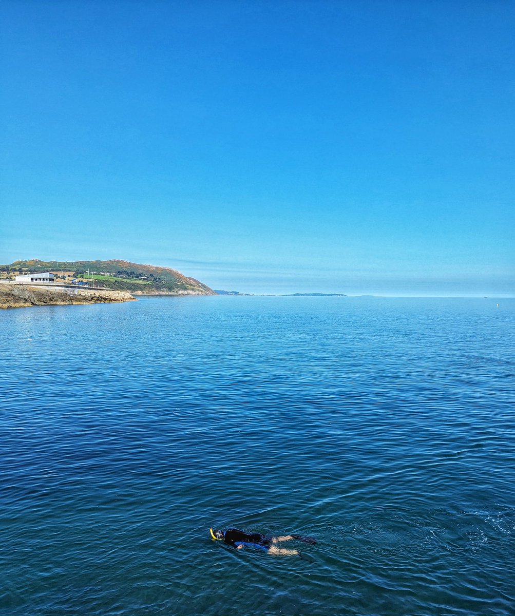 Summer decided to turn up today! #ireland #wicklow #greystones
