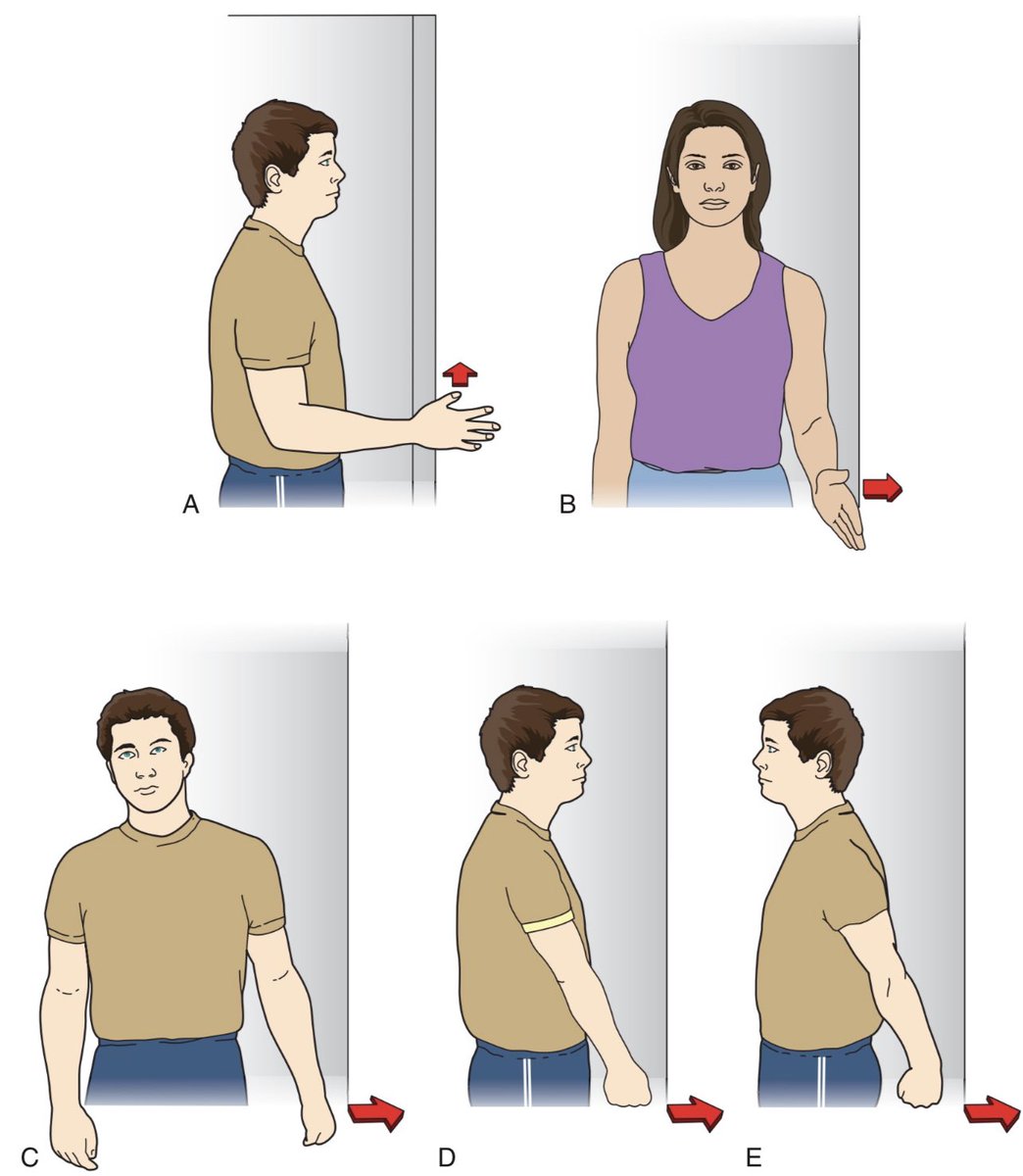 من التمارين العلاجية في حالات الكتف الي هي 
Isometric exercises ✨.

غالبًا تستخدم في تقوية العضلات والاستشفاء السريع وزيادة الدورة الدموية 
نستخدمها مع حالات:- 
-الكتف المتجمد بالبداية .
-استبدال مفصل الكتف بالبداية .
-التقيد بنطاق الحركة للمفصل .

بعض التمارين👇🏼
#علاج_طبيعي