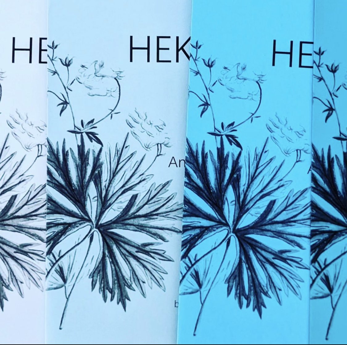 Coming soon to Toad Press + Veliz Books: HEKATE, Alex Niemi's translation of Anna Glazova's poems! More about this beautiful chappie to come 🤍 #toadpress #velizbooks #indiepub