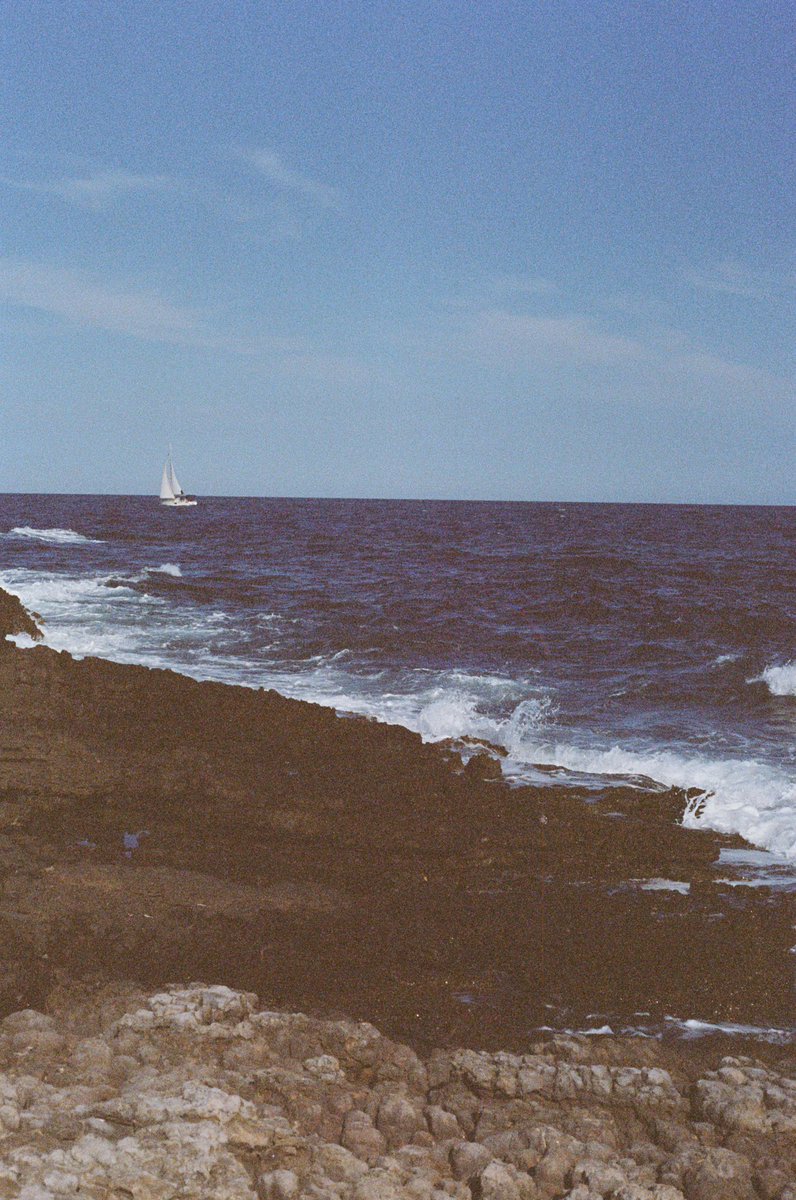 Harper Slone tweet media