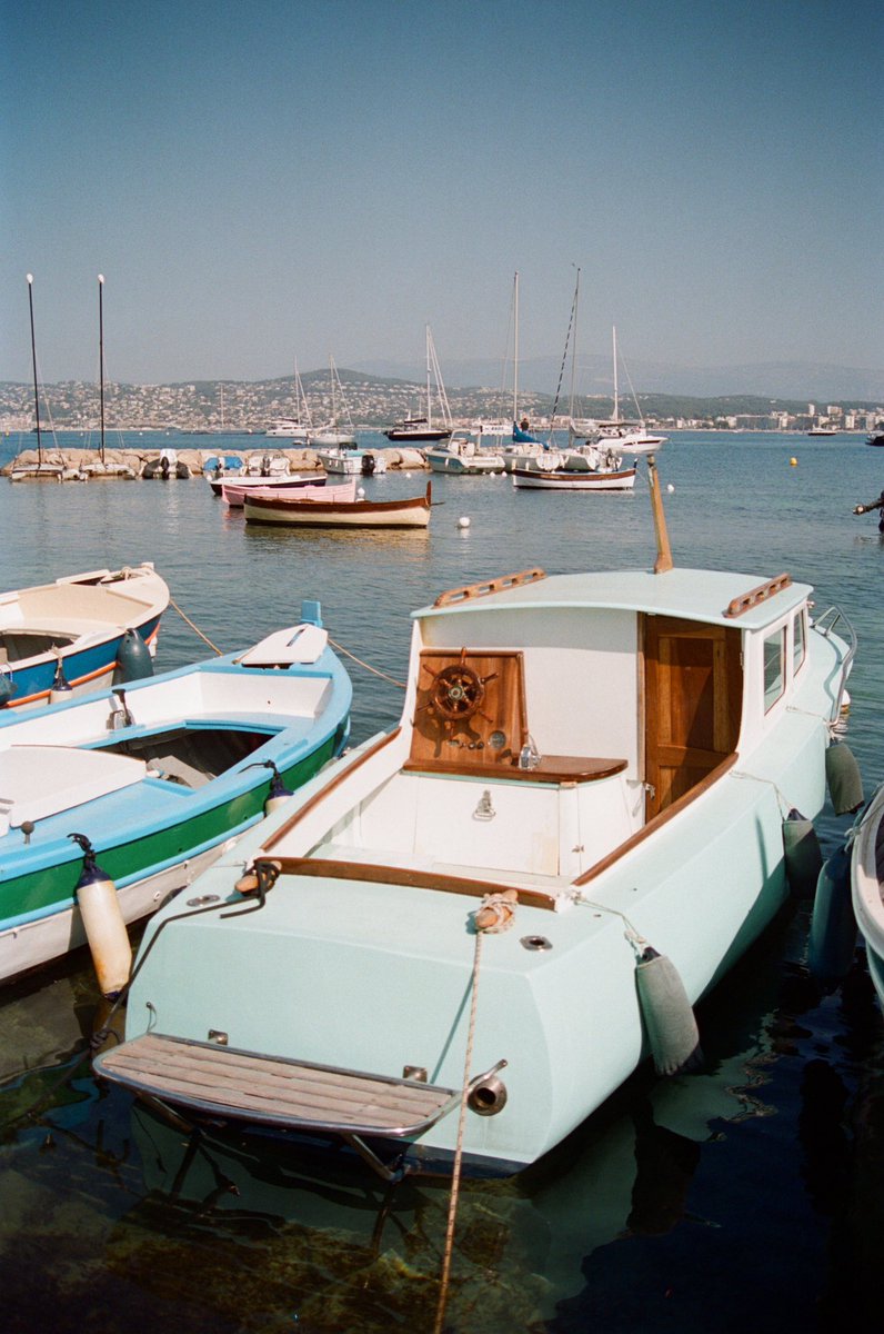 Harper Slone tweet media