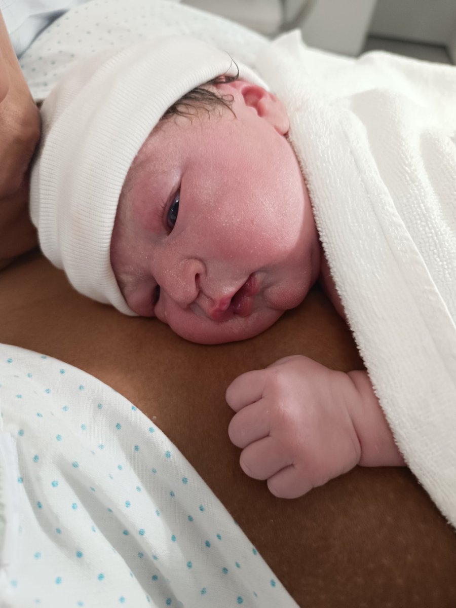 Israel AR / HARDPOOLL OFI tweet media