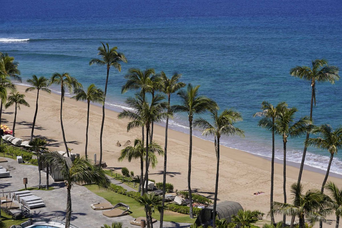 nicksortor's tweet image. ❗️ Residents of Maui get a lot more than just Labor Day off work nowadays.

And that's because Gov. Josh Green and washed "celebrities" declared Maui CLOSED after the Lahaina fires, causing TENS OF THOUSANDS of people to lose their jobs.

These elites don't give a cr*p about…