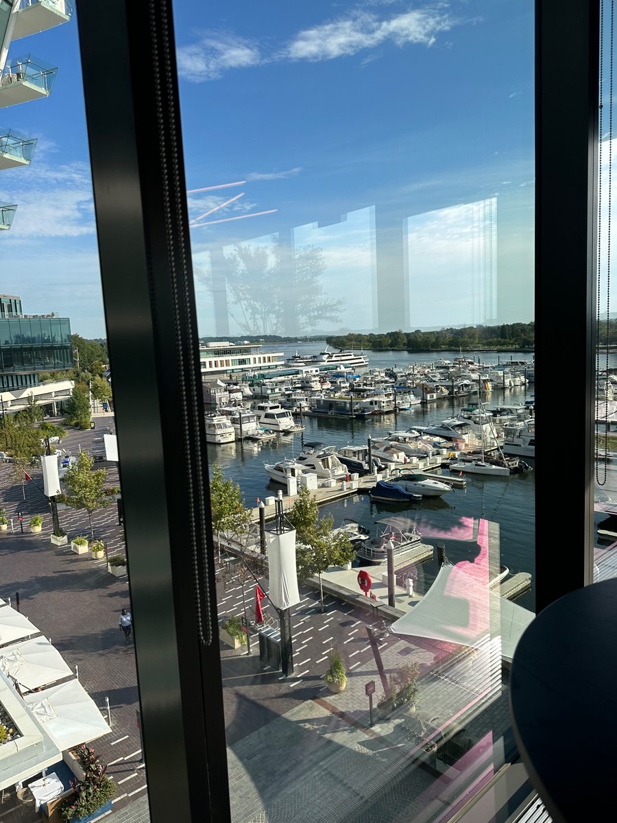 OnlyMFox's tweet photo. Happy Labor Day Weekend 🛥️🚤 🏢🦊 https://t.co/Qnr0QEC8wK