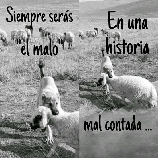 MataAlej2014's tweet photo. @_taxista_regio_ @urielvelez07 @ramiro_bajista https://t.co/d59PjGurYt