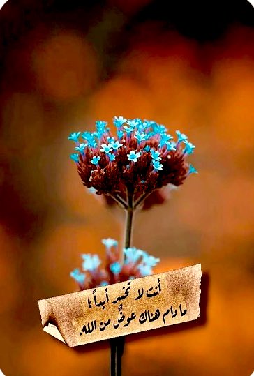 سبحانك ربي ما أعظمك 🍂
    #مريووم 💔