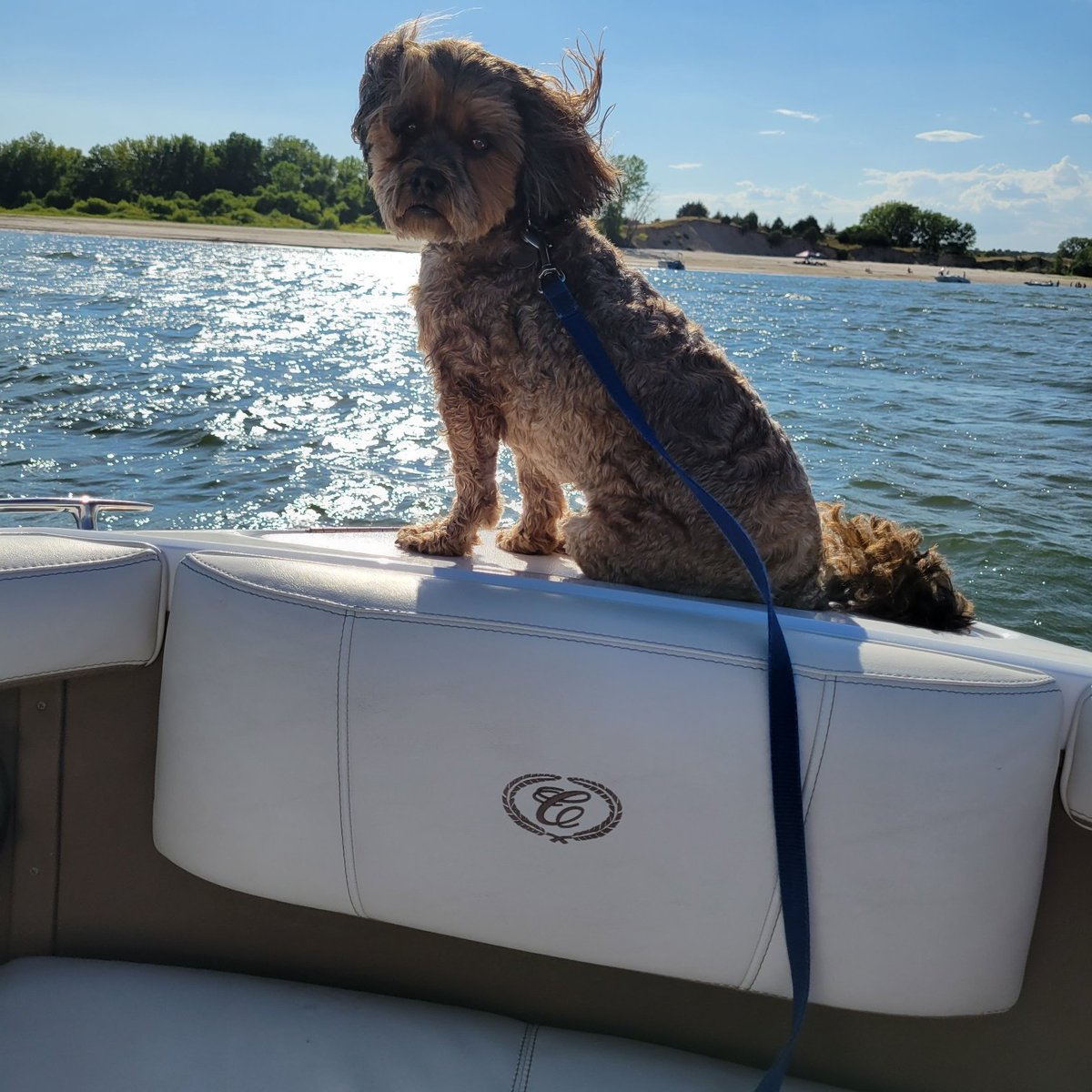 Enjoying labor day weekend on a  @CobaltBoats.