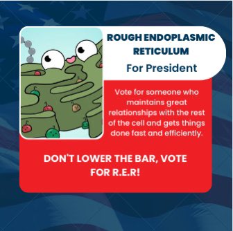 rer4prez2023's tweet photo. RER 4 PREZ 2023
#MHSOrganelleVote2023 https://t.co/pMB74jMqpC