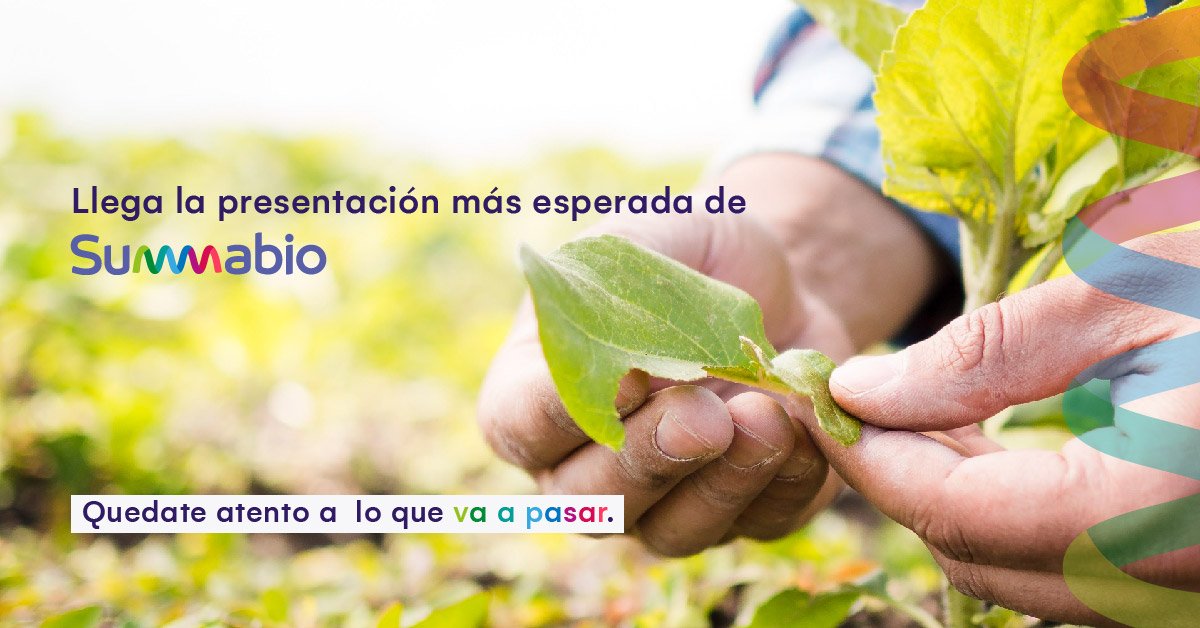 Llega la 𝗥𝗲𝘂𝗻𝗶ó𝗻 𝗖𝗼𝗺𝗲𝗿𝗰𝗶𝗮𝗹 𝗔𝗻𝘂𝗮𝗹+𝗟𝗮𝗻𝘇𝗮𝗺𝗶𝗲𝗻𝘁𝗼 𝗡𝘂𝗲𝘃𝗼 𝗗𝗲𝘀𝗮𝗿𝗿𝗼𝗹𝗹𝗼
➡️Compartiremos logros obtenidos y trabajaremos sobre lo que se viene el próximo año
🌿Presentaremos BLISS,desarrollo antiestrés revolucionario para el sector AgriFood Tech