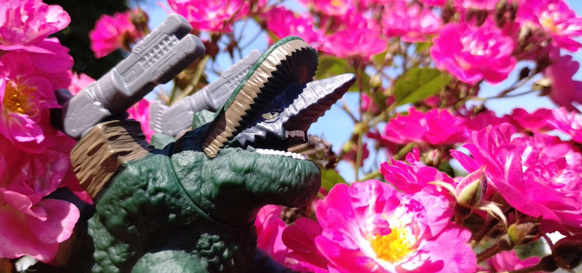 MoonShark4's tweet photo. "The Peaceful Giant"
Dorgo
#Ultraman #UltramanBlazar #Dorgo #ウルトラマン #ウルトラマンブレーザー #ドルゴ https://t.co/HPRq3gECnE