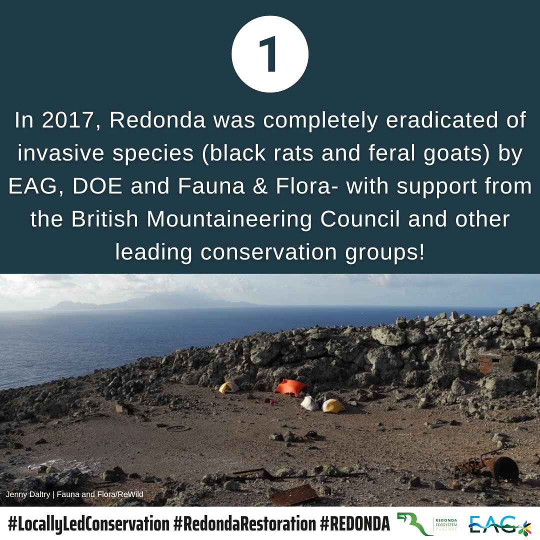 EAGAntigua's tweet photo. We can’t wait to celebrate Redonda with you!🥳
Happy Monday everyone!
As we prepare for our Redonda Celebration Fair, we’ll be popping in every now and then to share some of Redonda’s achievements!⛰️
Today, we’re sharing 3 FACTS that you should know about the island.
#Redona https://t.co/iDtznLP3qQ