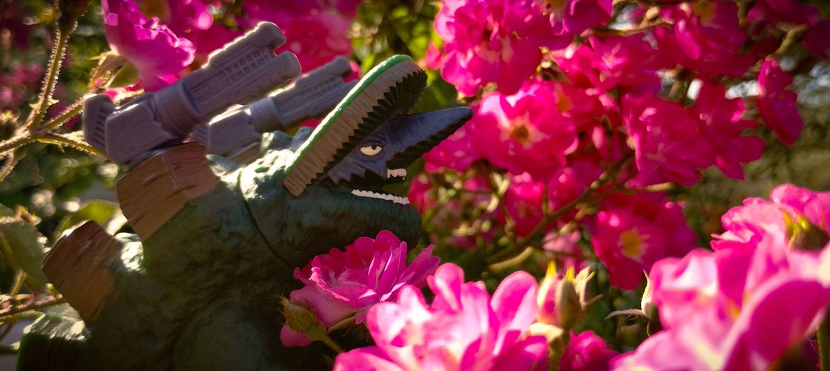 MoonShark4's tweet photo. "The Peaceful Giant"
Dorgo
#Ultraman #UltramanBlazar #Dorgo #ウルトラマン #ウルトラマンブレーザー #ドルゴ https://t.co/HPRq3gECnE