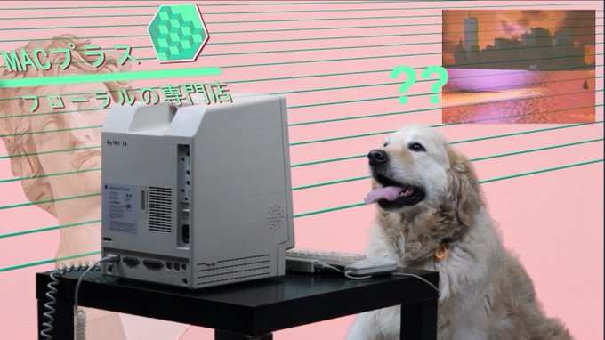 So here's another one of those vaporwave computer wallpapers I made, with the statue, and the dog, and<a href="/tag/saturn"class="tags"><span>#saturn</span></a>