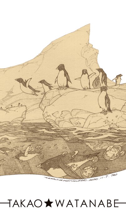 「bird sand」 illustration images(Latest)